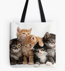 Cats Tote Bag