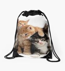 Cats Drawstring Bag