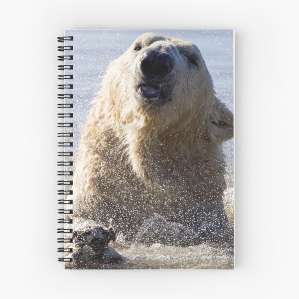 Item preview, Polar Bear Making a Splash designed and sold by LFPPhotography.