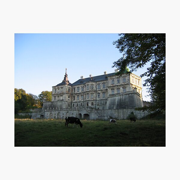 Old castle Photographic Print