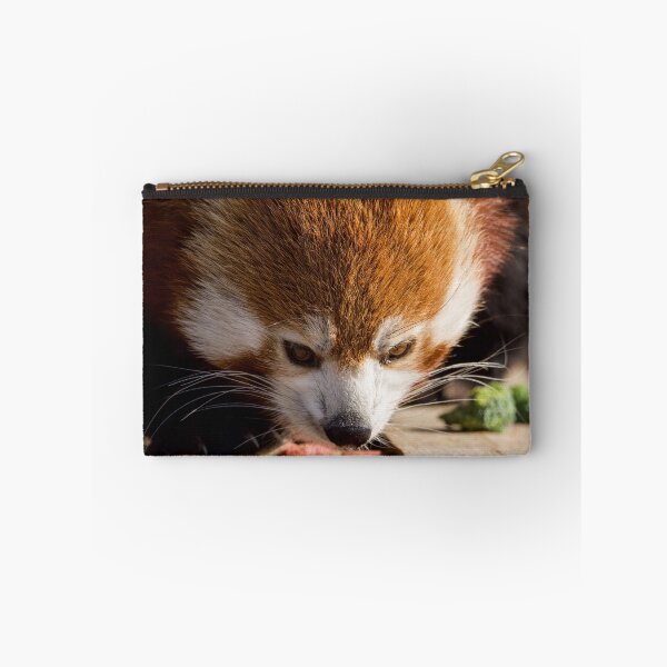 Item preview, Red Panda Enjoying its Morning Snack designed and sold by LFPPhotography.
