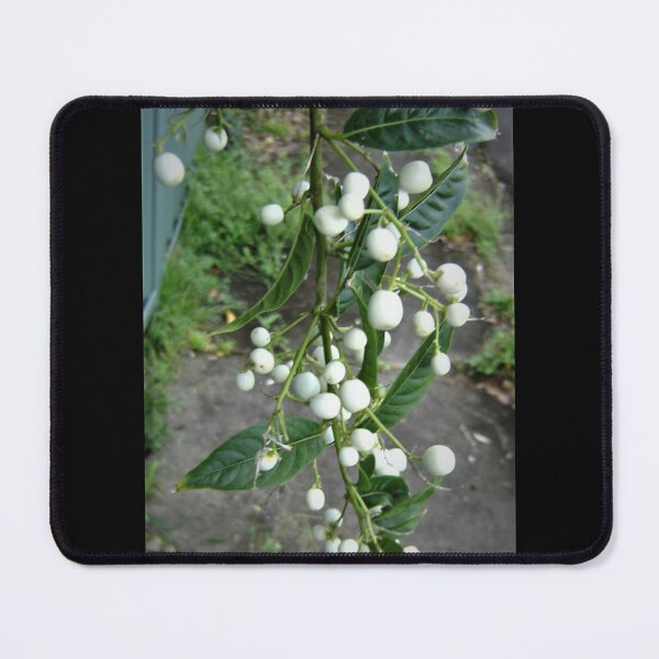 Item preview, Berries of Mayfield designed and sold by KazM.