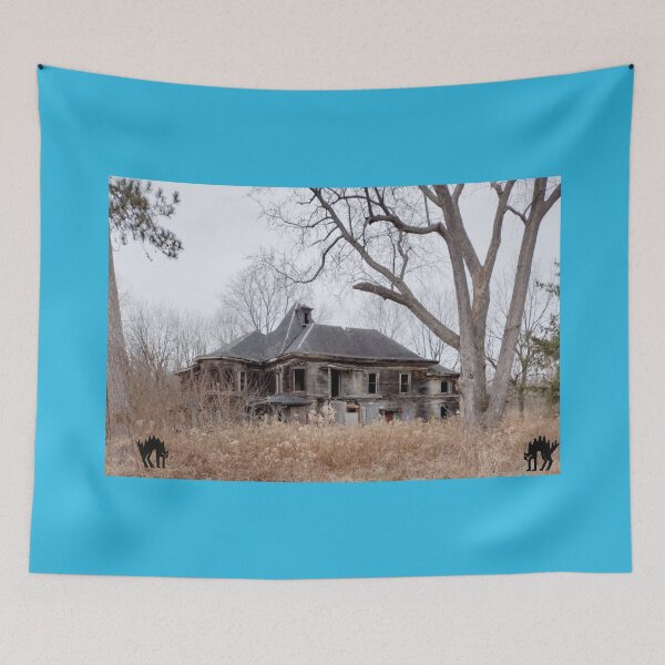 Item preview, Haunted Mansion, Livingston County, New York designed and sold by TechLaughs.