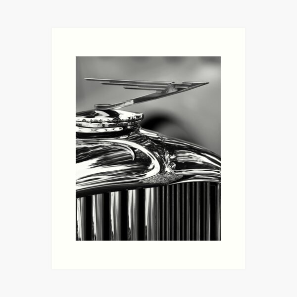 Duesenbird Art Print