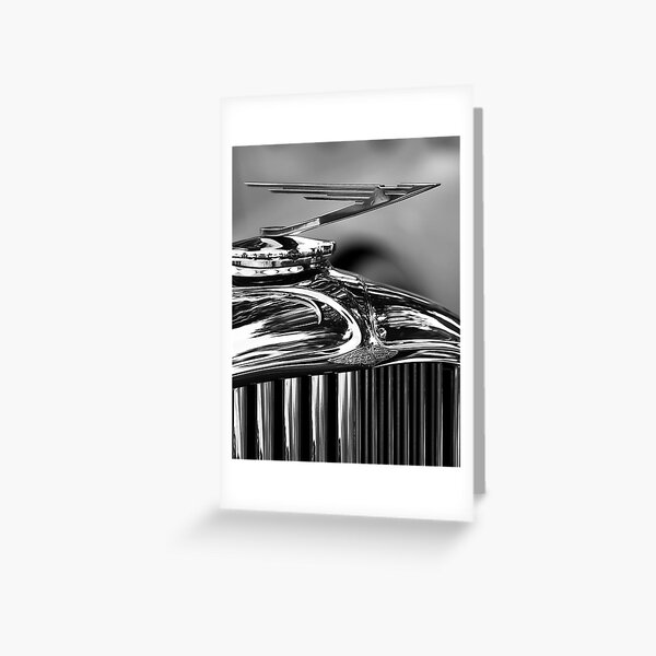 Duesenbird Greeting Card