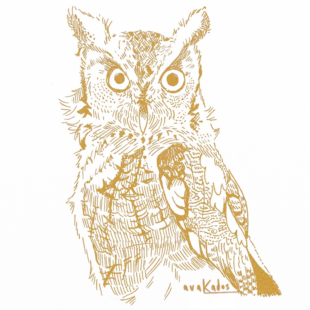 "Owl Gold" by avaKados Redbubble