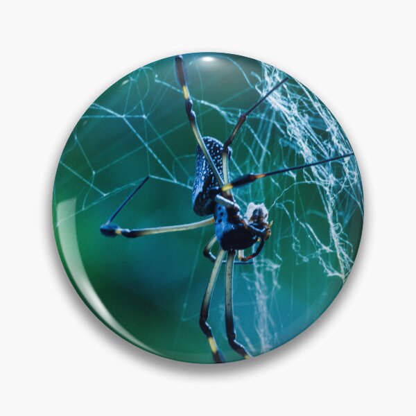 Item preview, Orbweaver designed and sold by sonkeytong.