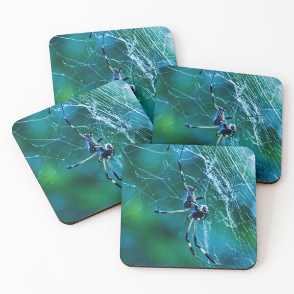 Item preview, Orbweaver designed and sold by sonkeytong.