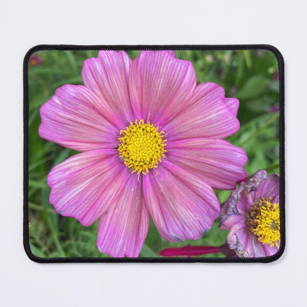 Item preview, Daisy Shining designed and sold by kayleelobster.
