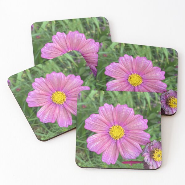 Item preview, Daisy Shining designed and sold by kayleelobster.