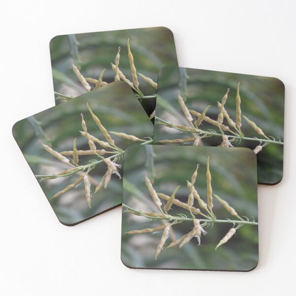 Item preview, Soft colors nature theme with plant pods designed and sold by mariya-ivanova.