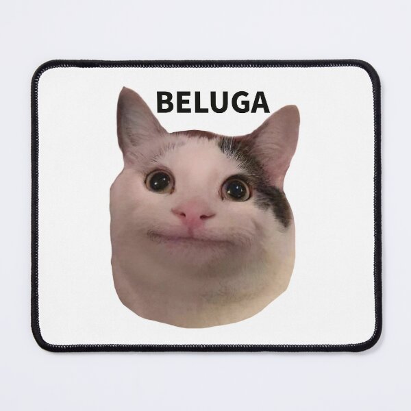 Beluga cat meme shitpost | Poster