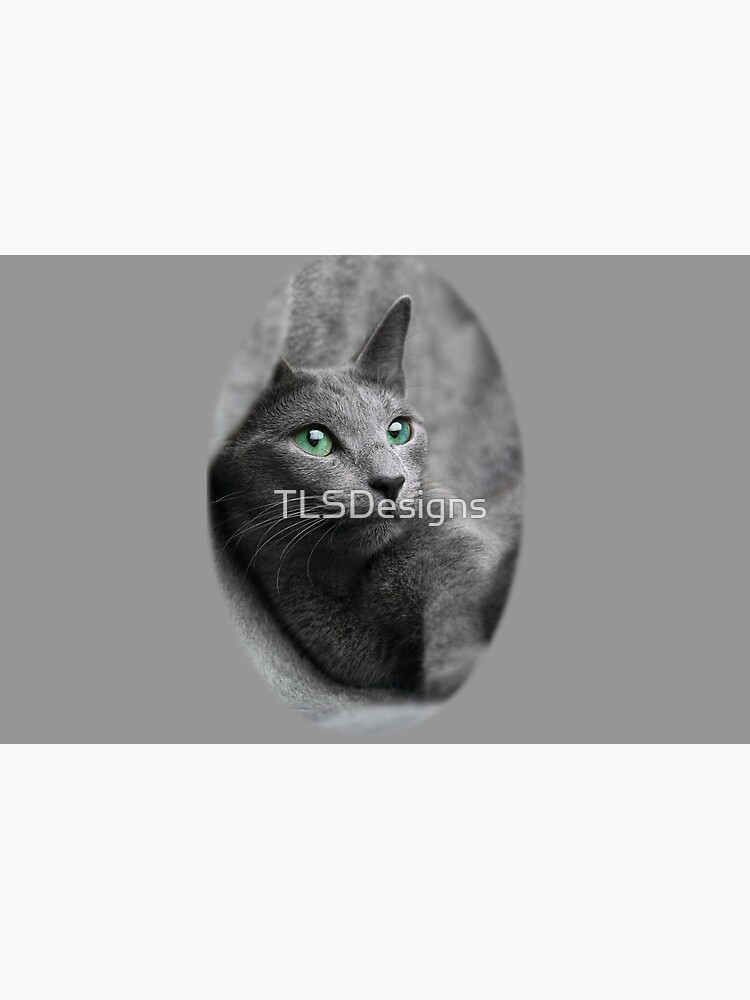 Skin Adhesive D Ordinateur Belle Chat Gris Sarcelle Yeux Verts Doux Kitty Par Tlsdesigns Redbubble