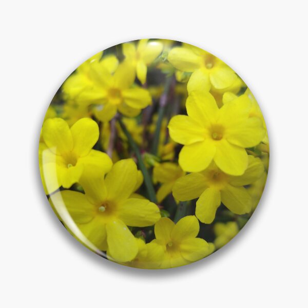 Item preview, Forsythia yellow flowers designed and sold by Myl3n3-A.