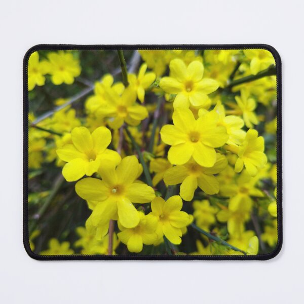 Item preview, Forsythia yellow flowers designed and sold by Myl3n3-A.