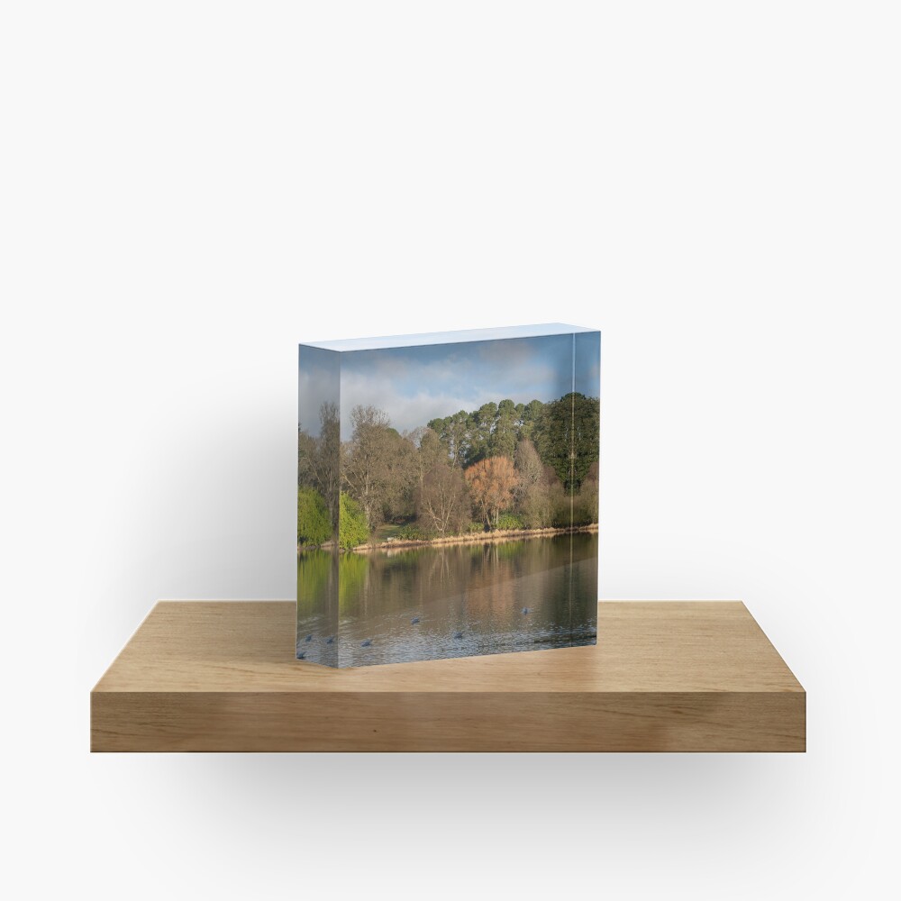 Item preview, Acrylic Block designed and sold by Armstrong-photo.
