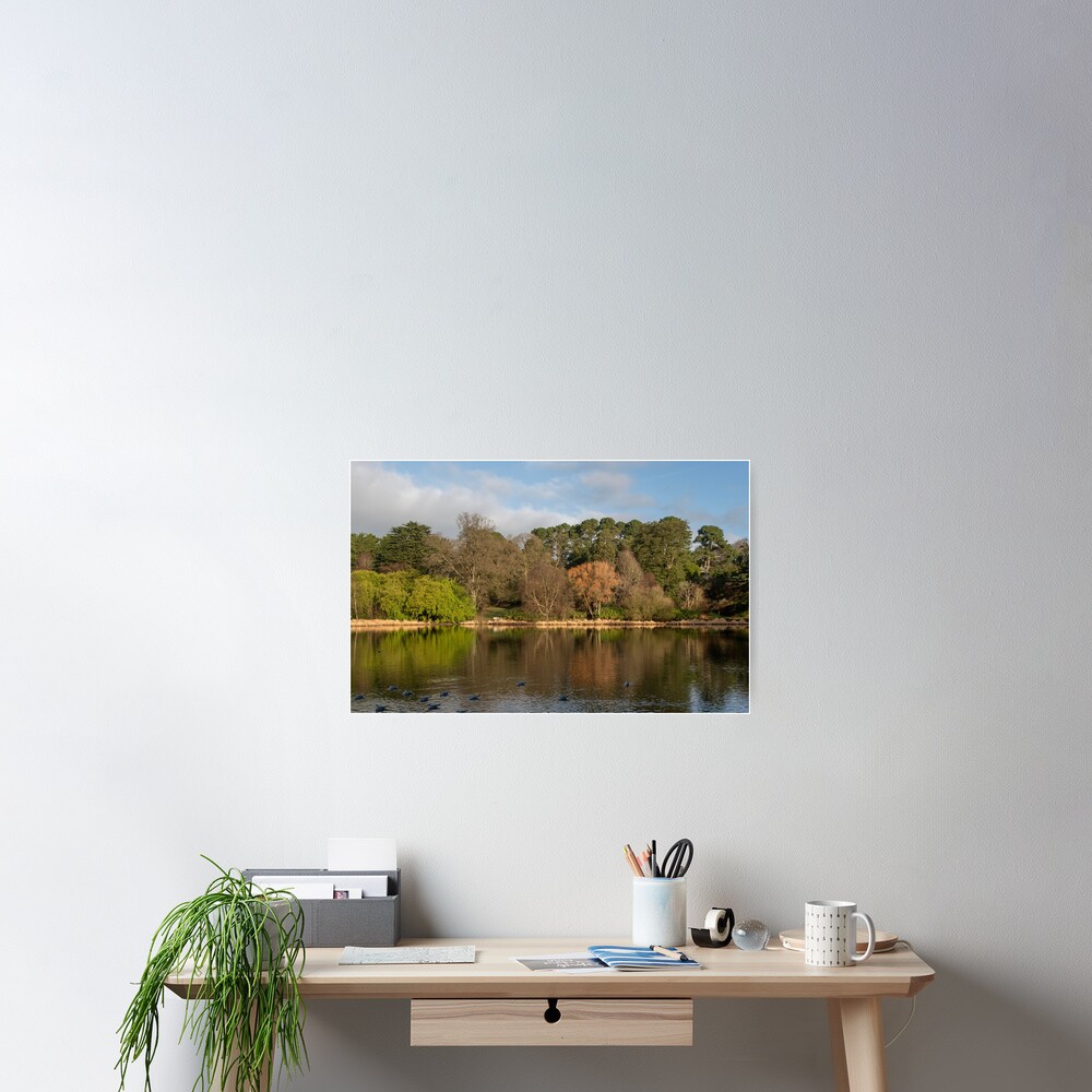 Item preview, Poster designed and sold by Armstrong-photo.