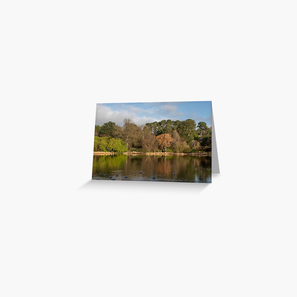 Item preview, Greeting Card designed and sold by Armstrong-photo.