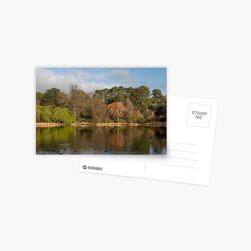 Item preview, Postcard designed and sold by Armstrong-photo.