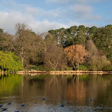 Artwork thumbnail, Lake Reflections NI by Armstrong-photo