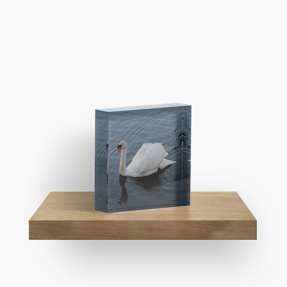Item preview, Acrylic Block designed and sold by Armstrong-photo.