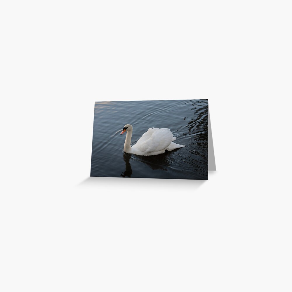 Item preview, Greeting Card designed and sold by Armstrong-photo.