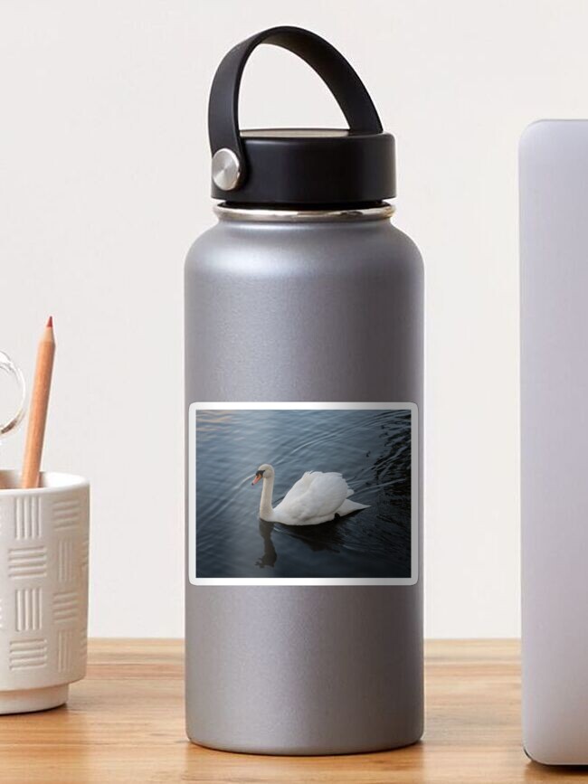 Thumbnail 1 of 3, Sticker, Swanning Around designed and sold by Armstrong-photo.