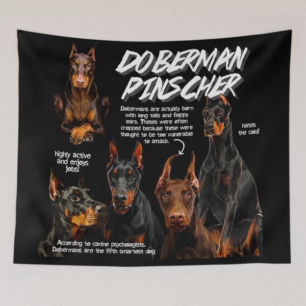 Item preview, Doberman Pinscher Fun Facts designed and sold by KyleNesas.