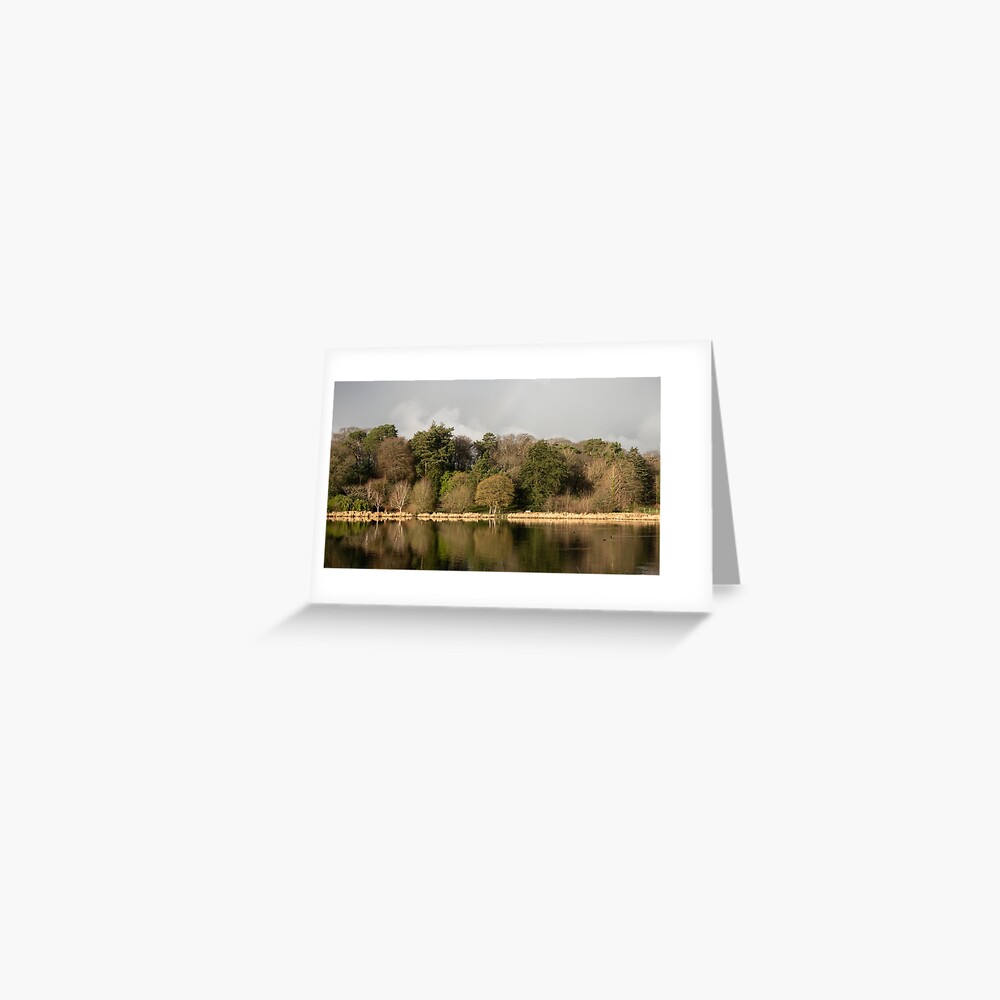 Item preview, Greeting Card designed and sold by Armstrong-photo.