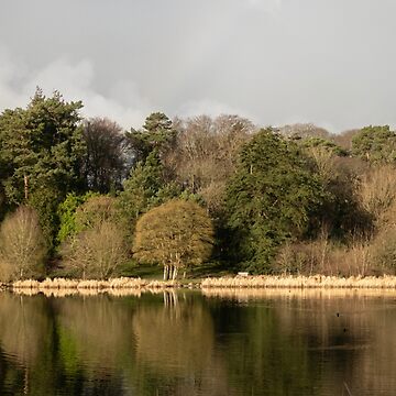 Artwork thumbnail, Winter lake scene by Armstrong-photo