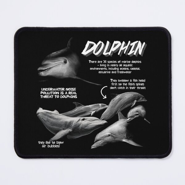 Item preview, Dolphin Fun Facts designed and sold by KyleNesas.