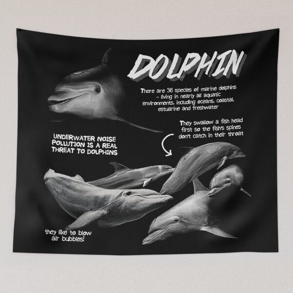 Item preview, Dolphin Fun Facts designed and sold by KyleNesas.