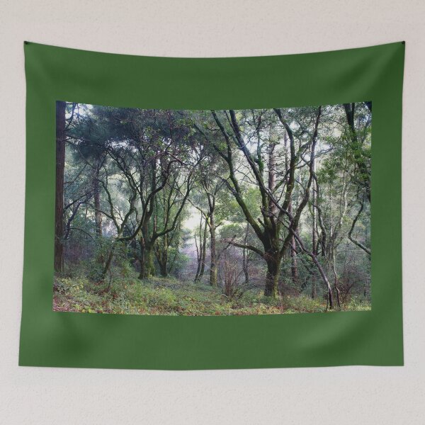 Item preview, SC Forest designed and sold by factoryabstract.