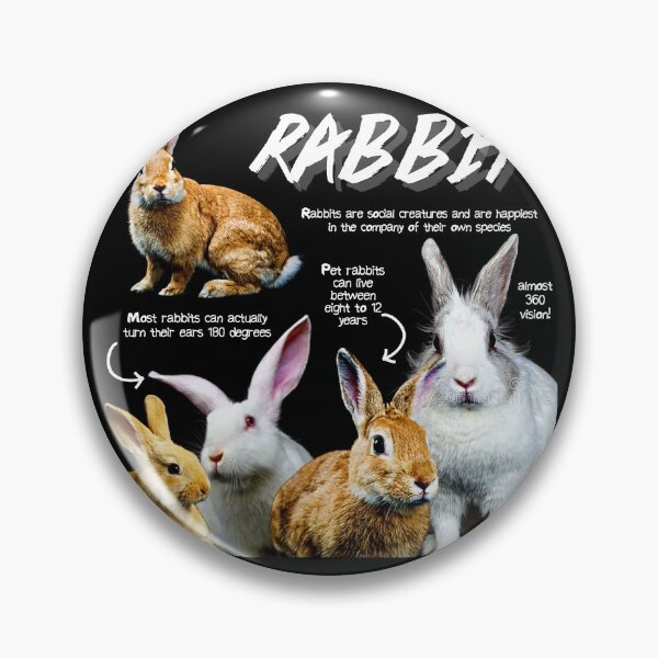 Item preview, Rabbit Fun Facts designed and sold by KyleNesas.