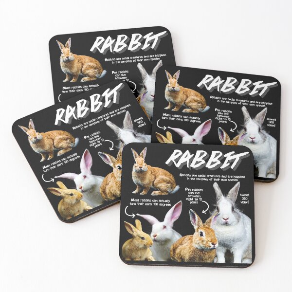 Item preview, Rabbit Fun Facts designed and sold by KyleNesas.