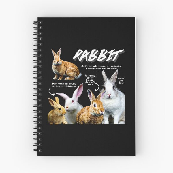Item preview, Rabbit Fun Facts designed and sold by KyleNesas.