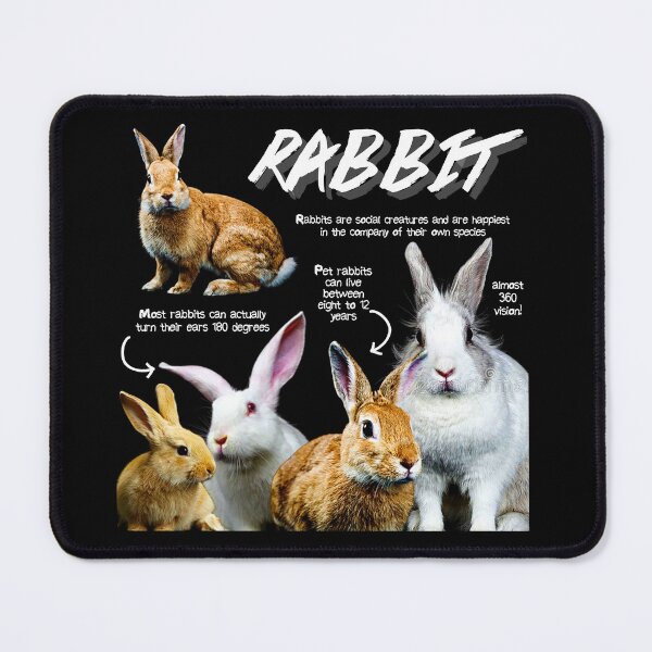 Item preview, Rabbit Fun Facts designed and sold by KyleNesas.