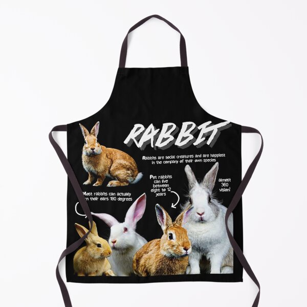 Item preview, Rabbit Fun Facts designed and sold by KyleNesas.