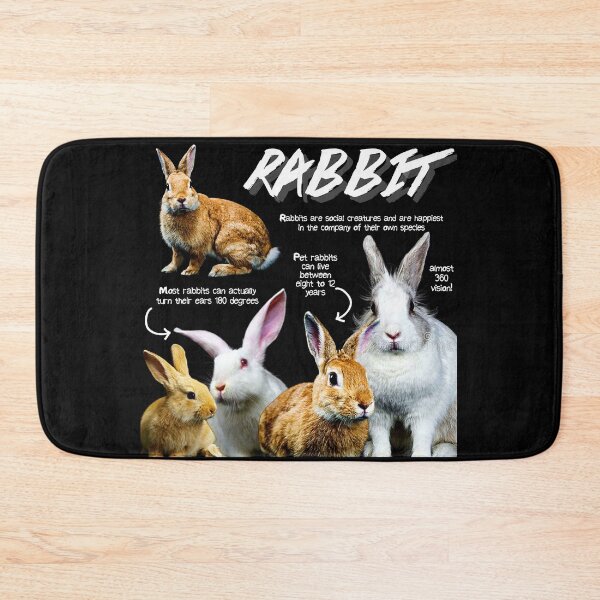 Item preview, Rabbit Fun Facts designed and sold by KyleNesas.