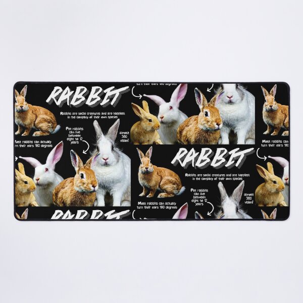 Item preview, Rabbit Fun Facts designed and sold by KyleNesas.