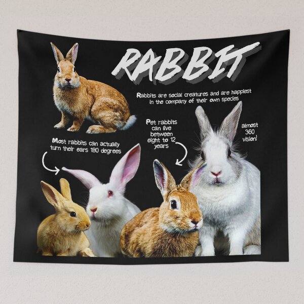 Item preview, Rabbit Fun Facts designed and sold by KyleNesas.