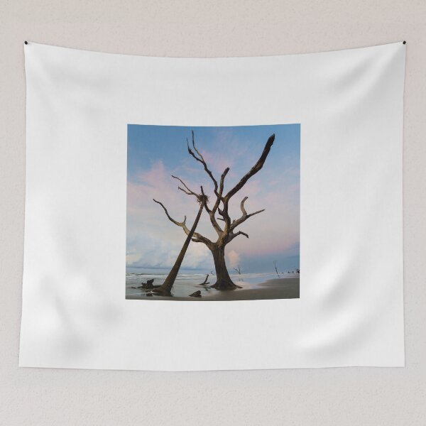 Item preview, The Nest II designed and sold by DiFigianoPhoto.