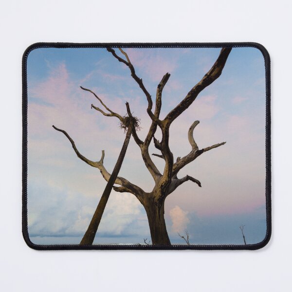 Item preview, The Nest II designed and sold by DiFigianoPhoto.