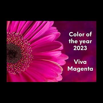 Viva Magenta, Color of the Year 2023 - Jamini