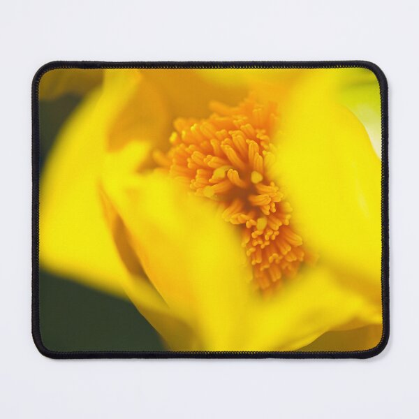 Item preview, Macro Climbing Guinea Flower designed and sold by Brenton Bessell.