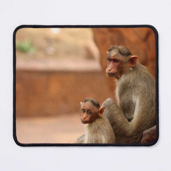 Item preview, Bonnet Macaque Monkey. designed and sold by VgBingi.