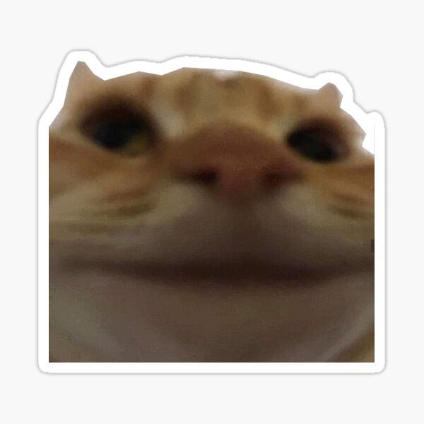 smile cat