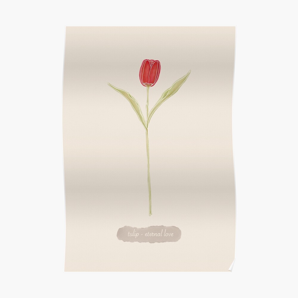 Tarjetas de felicitación «San Valentín- Flor Tulipán (Inglés)» de ClaraSpe  | Redbubble