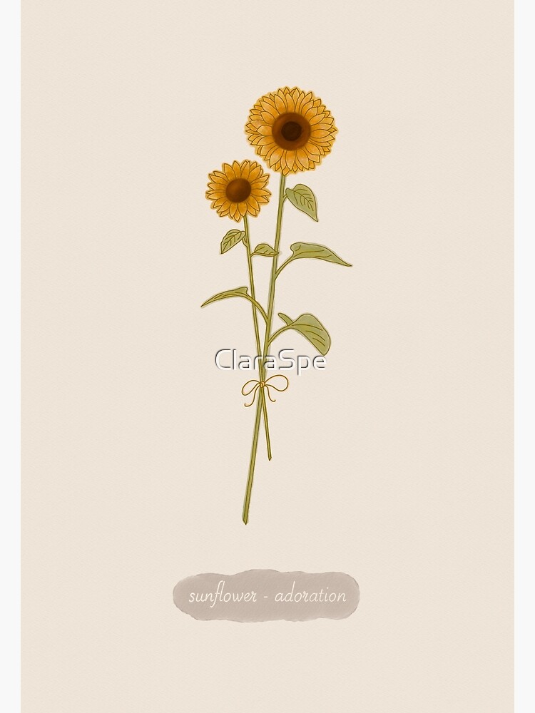 Tarjetas de felicitación «San Valentín - Flor Girasol (Inglés)» de ClaraSpe  | Redbubble