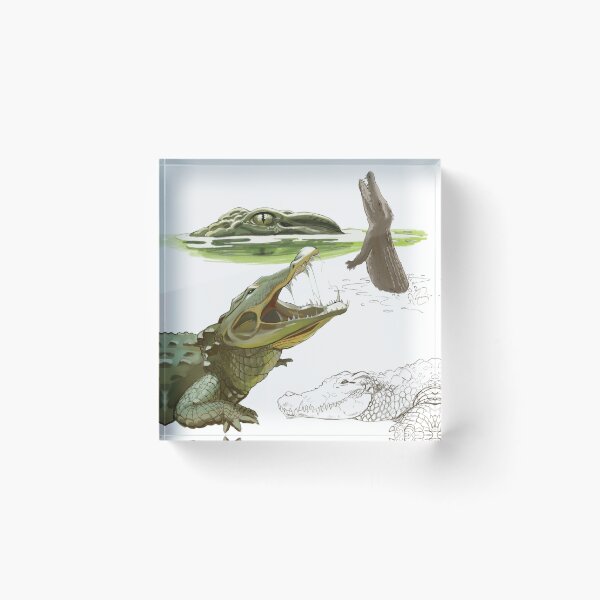 Item preview, Crocodiles designed and sold by CristinaPop.